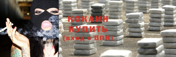трава Гусиноозёрск