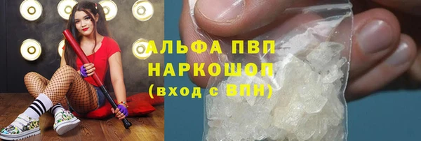 трава Гусиноозёрск