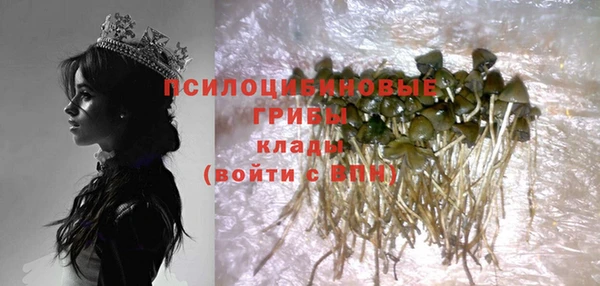 альфа пвп Гусь-Хрустальный