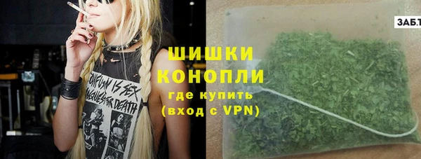 трава Гусиноозёрск