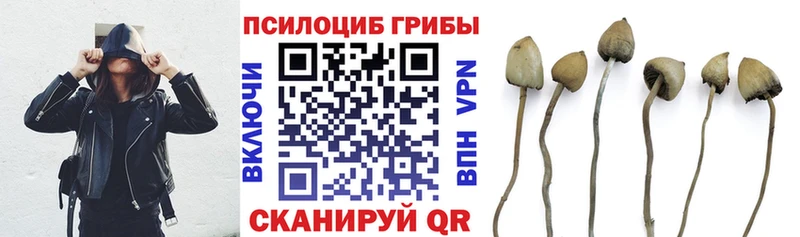 Купить  Шатура  Галлюциногенные грибы Magic Shrooms 